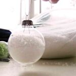 Bolas de Navidad con nieve