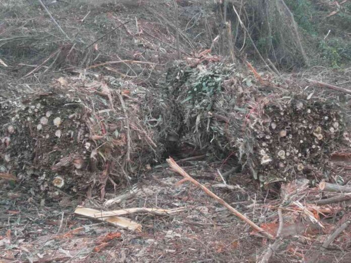 Calefaccionar el hogar