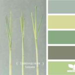 colores para salones