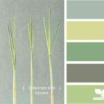 colores-para-salones-395×360-1