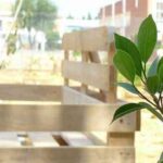 decorar-con-palets1-1