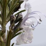 Evita que se concentren malos olores en tu hogar