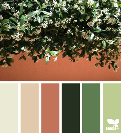 combinación de colores - verdes y rosados