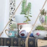 Estantería para mini jardín en tu piso pequeño