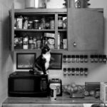 Cocinas bien organizadas en pisos pequeños