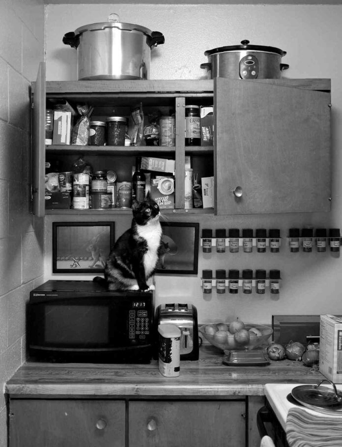 Cocinas bien organizadas en pisos pequeños