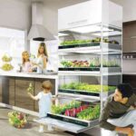 Cultiva tus propias hierbas y vegetales en tu cocina