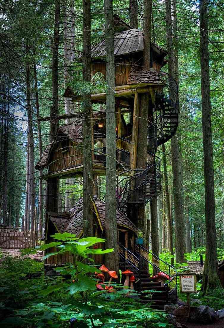20 ideas para decorar tu hogar ideal Exterior creativo Lavanderia