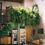 un-idea-fresca-plantas-colgantes-para-la-mejor-decoracion