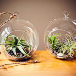 decorar un espacio pequeño