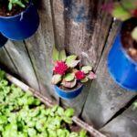 decorar-un-espacio-pequeno5