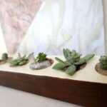 idea-para-decorar-con-plantas-suculentas