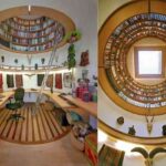 Impresionante librería con forma circular
