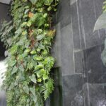 jardines-verticales12