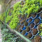 jardines-verticales18