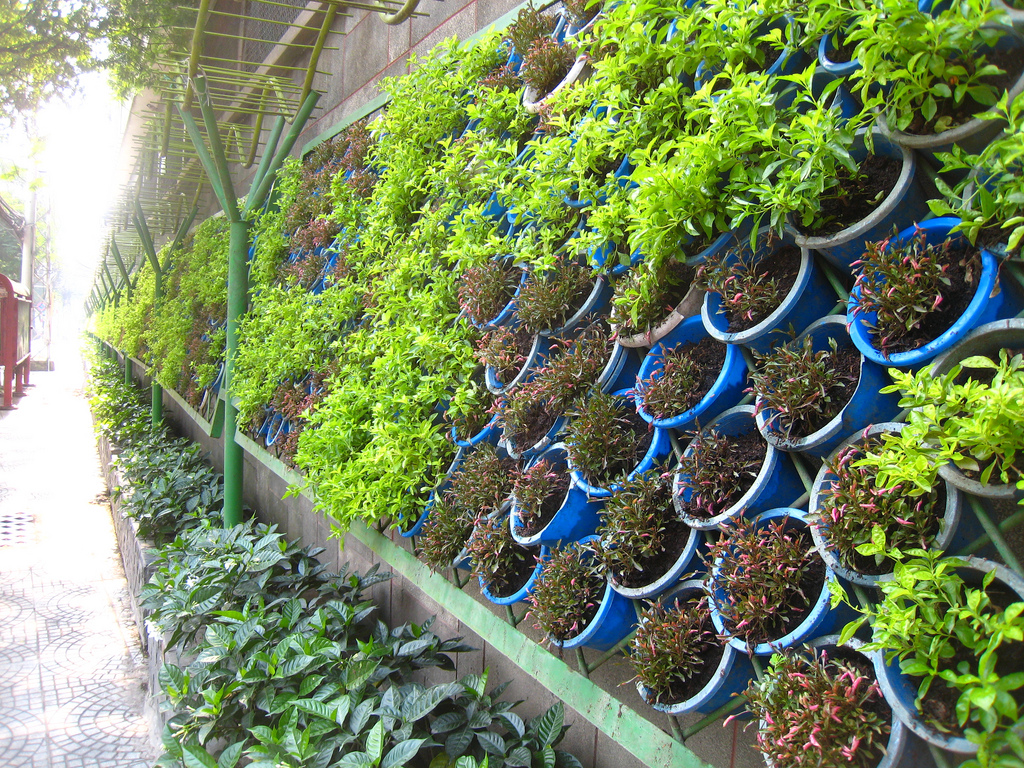 jardines verticales caseros - macetas