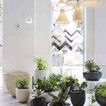 Set of 6 CHIMBARONGO-Spence&Lyda