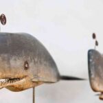 cachalote-de-jacier-lorenzo-1