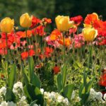 flickr univ. de navarra