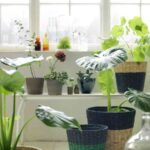 maceteros-nipprig-ikea-baja