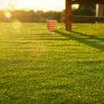 suelo-de-cesped-artficial-de-leroy-merlin