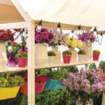 iluminacion de exterior y flores