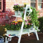 jardin en casa apertura