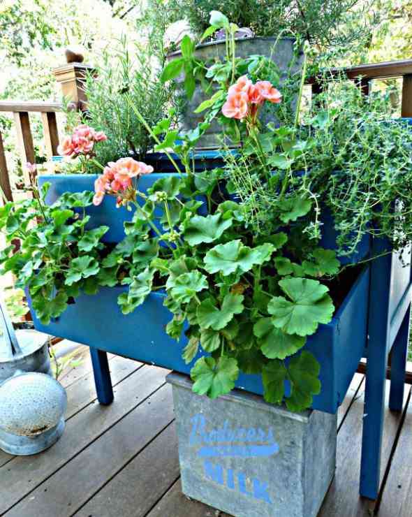 muebles con color jardinera azul plantas