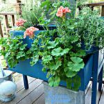 jardinera azul plantas