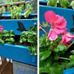 jardinera flor rosa