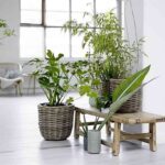 bloomingville-ambiente-1