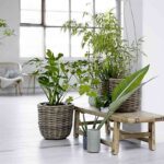 bloomingville ambiente