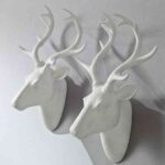 cabezas ciervo maisons