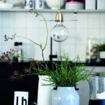 housedoctor bombilla