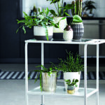 housedoctor-carrito-1