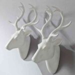 cabezas-ciervo-maisons