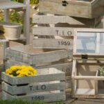 cajas-de-fruta-originales