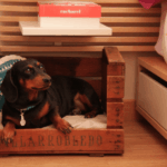 idea-con-caja-de-fruta