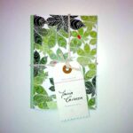 individual-notebooks-1