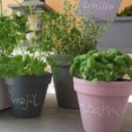 macetas cuarto color