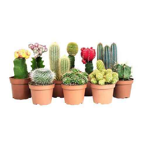 Ideas prácticas para decorar balcones pequeños
