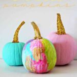 calabazas-multicolores