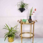 miafleur-plantas-1