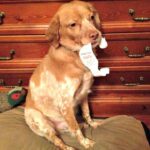 bobby-con-lana-katia-1