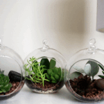 jardines-en-miniatura-3-esferas-1