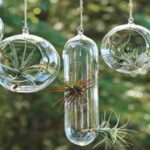 jardines-en-miniatura-colgantes-1