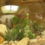 jardines-en-miniatura-con-piedra-1