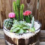 Jardines en miniatura plano