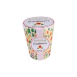 grown-your-own-girasol-semilla-con-maceta