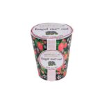 grown-your-own-nomeolvides-semilla-con-maceta